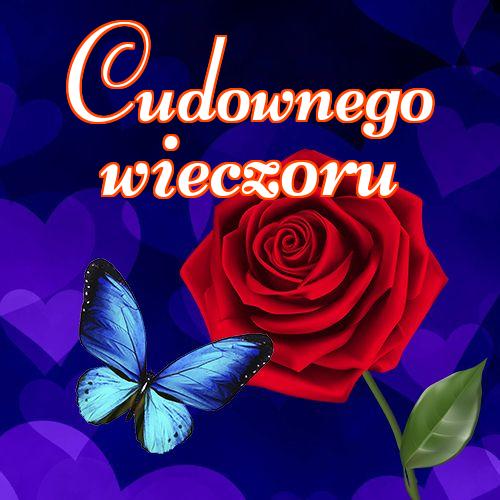 Cudownego wieczoru!! , Życzenia Życzę miłego wieczoru Życzę dobrej nocy Kwiaty, Zdjęcia z kwiatami!