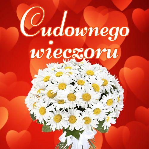 Cudownego wieczoru!! Zdjęcia z kwiatami, Życzenia Życzę miłego wieczoru Życzę dobrej nocy Kwiaty!