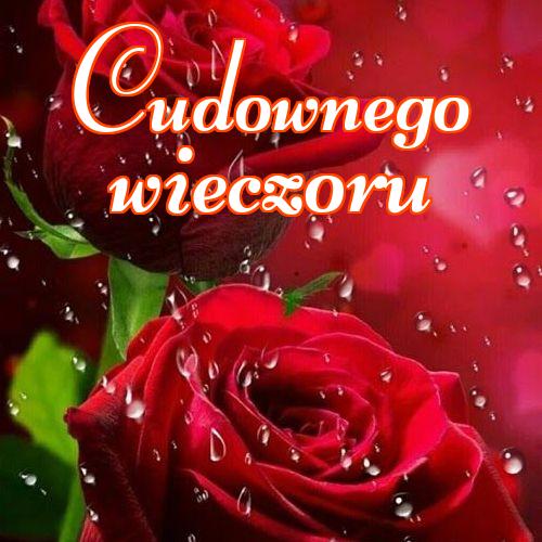 Cudownego wieczoru!! , Życzenia Życzę miłego wieczoru Życzę dobrej nocy Kwiaty, Zdjęcia z kwiatami!