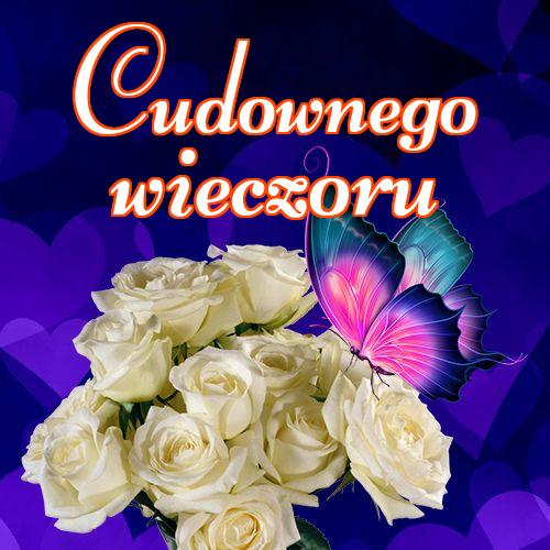 Cudownego wieczoru!! Życzenia Życzę miłego wieczoru Życzę dobrej nocy Kwiaty, Zdjęcia z kwiatami, !