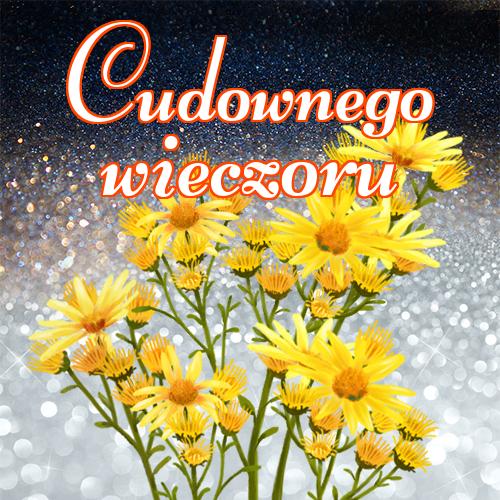 Cudownego wieczoru!! kotów, tulipanów, róż, pocztówki, zdjęcia, Życzę miłego wieczoru, dobrego wieczoru, miłego wieczoru, niedźwiedzia!