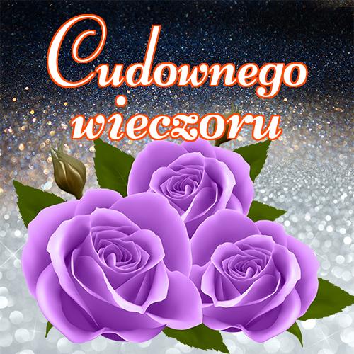 Cudownego wieczoru!! miłego wieczoru, pocztówki, dobrego wieczoru, niedźwiedzia, zdjęcia, kotów, tulipanów, róż, Życzę miłego wieczoru!
