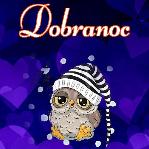 Dobranoc!! życzę dobrej nocy, życzę słodkich snów, sowa, pocztówka, słodka sowa, Obraz, sowy!