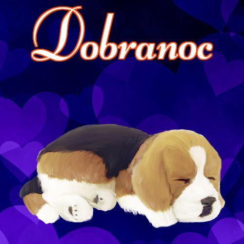 Dobranoc!! Słodkie zdjęcie, Piękne zdjęcie, Śpiący pies, Dobranoc, Słodkie sny, Śpiący szczeniak!