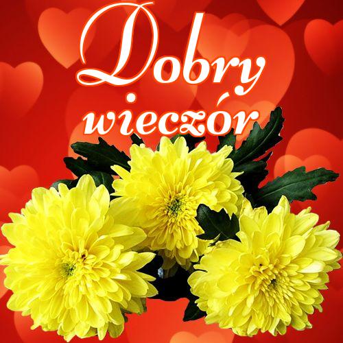 Dobry wieczór!! , Zdjęcia z kwiatami, Życzenia Życzę miłego wieczoru Życzę dobrej nocy Kwiaty, !