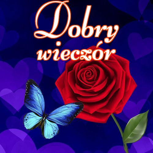 Dobry wieczór!! , Życzenia Życzę miłego wieczoru Życzę dobrej nocy Kwiaty, Zdjęcia z kwiatami!