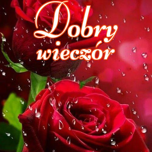 Dobry wieczór!! , Życzenia Życzę miłego wieczoru Życzę dobrej nocy Kwiaty, Zdjęcia z kwiatami!