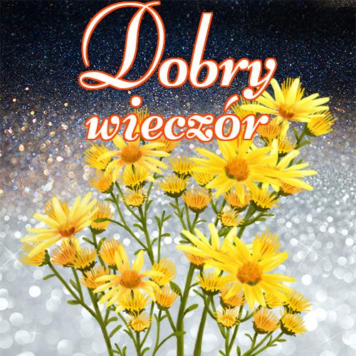 Dobry wieczór!! kotów, tulipanów, róż, pocztówki, zdjęcia, Życzę miłego wieczoru, dobrego wieczoru, miłego wieczoru, niedźwiedzia!