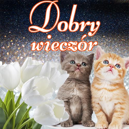 Dobry wieczór!! dobrego wieczoru, zdjęcia, tulipanów, niedźwiedzia, kotów, pocztówki, miłego wieczoru, Życzę miłego wieczoru, róż!
