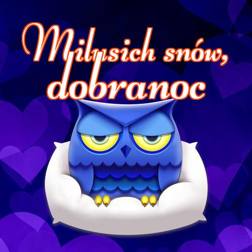 Milusich snów! Dobranoc!! sowy, słodka sowa, pocztówka, Obraz, życzę słodkich snów, życzę dobrej nocy, sowa!