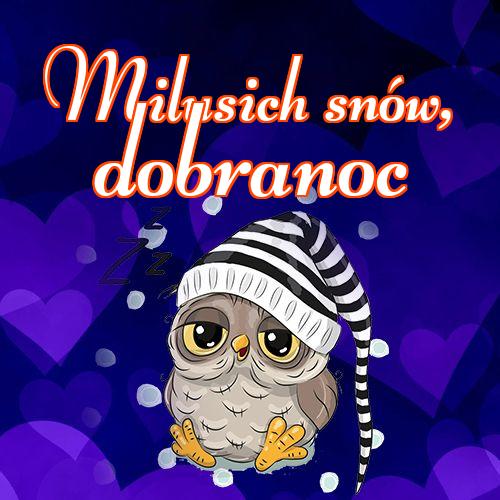 Milusich snów! Dobranoc!! życzę dobrej nocy, życzę słodkich snów, sowa, pocztówka, słodka sowa, Obraz, sowy!