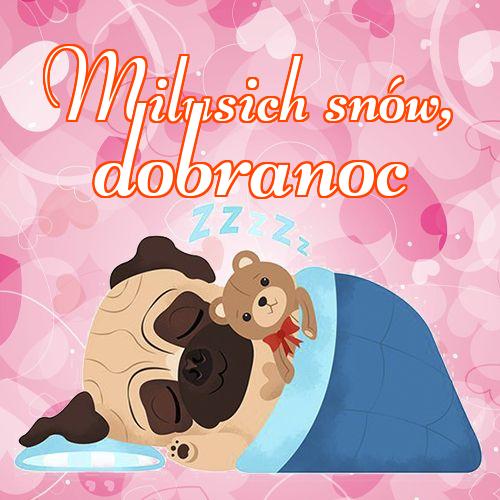 Milusich snów! Dobranoc!! Słodkie zdjęcie, Śpiący pies, Piękne zdjęcie, Dobranoc, Śpiący szczeniak, Słodkie sny!