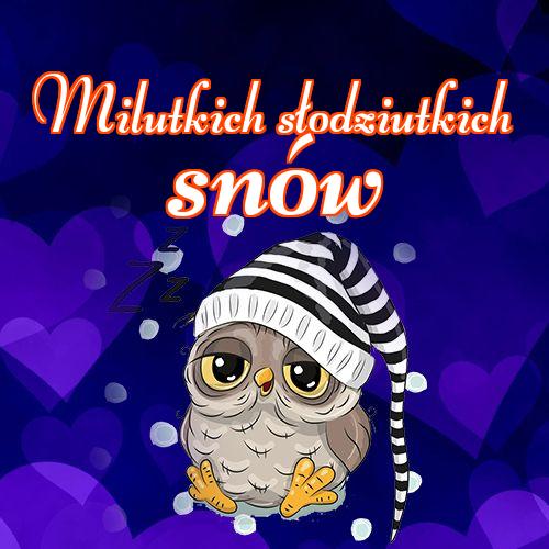 Milutkich słodziutkich snów!! życzę dobrej nocy, życzę słodkich snów, sowa, pocztówka, słodka sowa, Obraz, sowy!