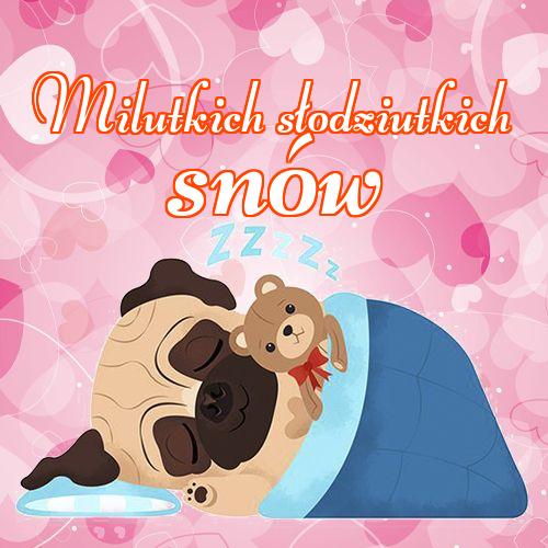 Milutkich słodziutkich snów!! Słodkie zdjęcie, Śpiący pies, Piękne zdjęcie, Dobranoc, Śpiący szczeniak, Słodkie sny!