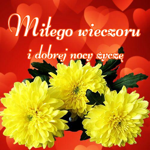 Miłego wieczoru i dobrej nocy życzę!! , Zdjęcia z kwiatami, Życzenia Życzę miłego wieczoru Życzę dobrej nocy Kwiaty, !