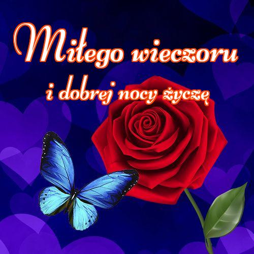 Miłego wieczoru i dobrej nocy życzę!! , Życzenia Życzę miłego wieczoru Życzę dobrej nocy Kwiaty, Zdjęcia z kwiatami!