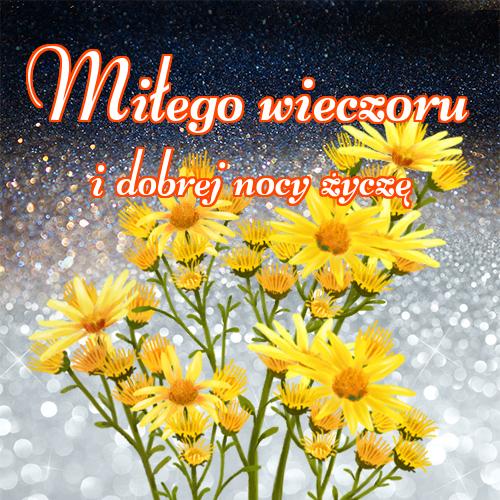 Miłego wieczoru i dobrej nocy życzę!! kotów, tulipanów, róż, pocztówki, zdjęcia, Życzę miłego wieczoru, dobrego wieczoru, miłego wieczoru, niedźwiedzia!