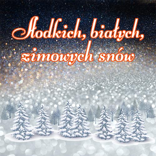 Słodkich, białych, zimowych snów!! Śnieg, zimowa noc, dobranoc, zima, słodkie zimowe sny, słodkie śnieżne sny!