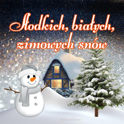 Słodkich, białych, zimowych snów!! zimowa noc, słodkie śnieżne sny, słodkie zimowe sny, zima, Śnieg, dobranoc!