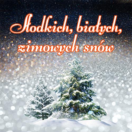 Słodkich, białych, zimowych snów!! zimowa noc, słodkie śnieżne sny, Śnieg, słodkie zimowe sny, dobranoc, zima!