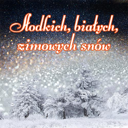 Słodkich, białych, zimowych snów!! zima, słodkie zimowe sny, zimowa noc, dobranoc, słodkie śnieżne sny, Śnieg!