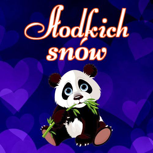 Słodkich snów!! życzę miłych snów, piękny obrazek, słodkiego misia, dobranoc, słodkich snów, mojego małego misia, Śliczny obrazek!