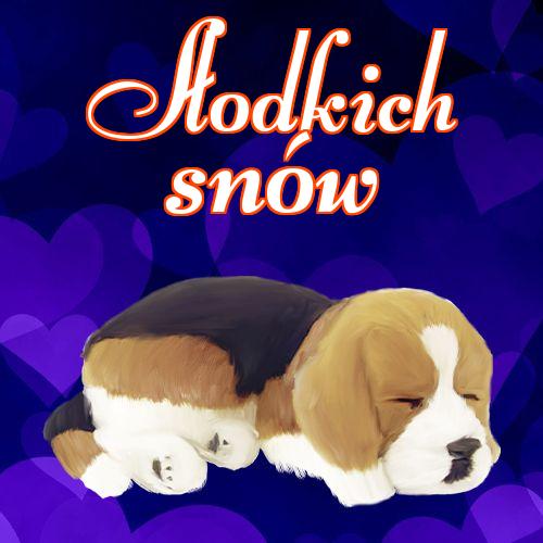 Słodkich snów!! Słodkie zdjęcie, Piękne zdjęcie, Śpiący pies, Dobranoc, Słodkie sny, Śpiący szczeniak!