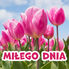 Kartki na Dzień Dobry!