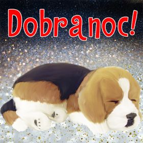 Dobranoc!