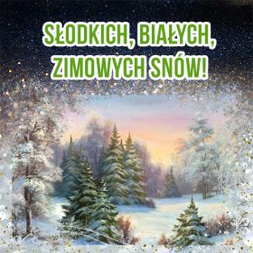 Słodkich, białych, zimowych snów!