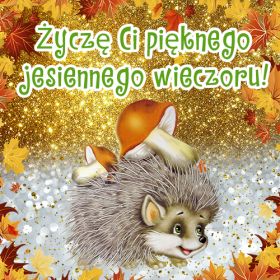 Życzę Ci pięknego jesiennego wieczoru!