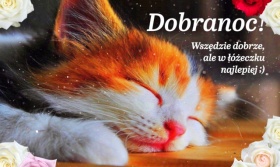 Kartka z kotkiem Dobranoc.