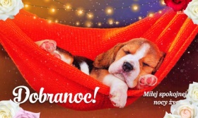 Dobranoc! Miłutkich snów!