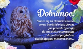 Dobranoc! Słodkich miłych snów Ci życzę!