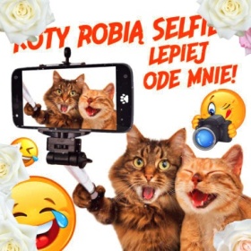 Koty i selfie