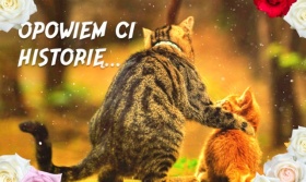 Kartka z kotami Opowiem Ci Historię.