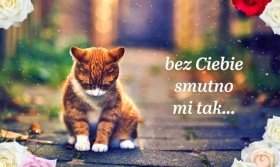 Bez Ciebie smutno mi tak.