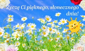 Życzę Ci słonecznego dnia!