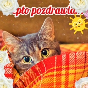 Ciepło pozdrawiam