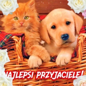 Najlepsi przyjaciele!