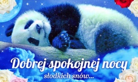 Pocztówka z pandą na Dobranoc