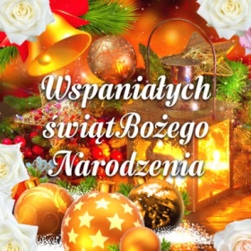 Wspaniałych Świąt BN!