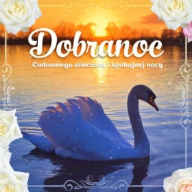 Cudownego wieczoru i Dobranoc!