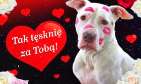 Kartka Tak tęsknię za Tobą.