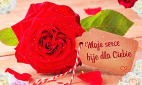 Dla Ciebie moje Serce