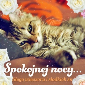 Spokojnej nocy!