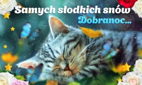 Samych słodkich snów