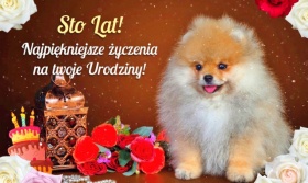 Sto Lat! Najpiękniejsze życzenia!