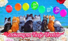 Już czekamy na Twoje Urodziny!