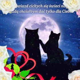 Milion gwiazd dla Ciebie